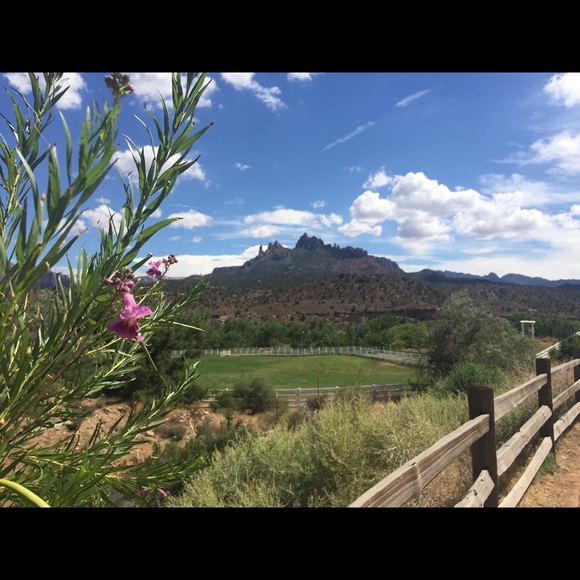 Meet your Posher, Elisa - Picture 1 of 1